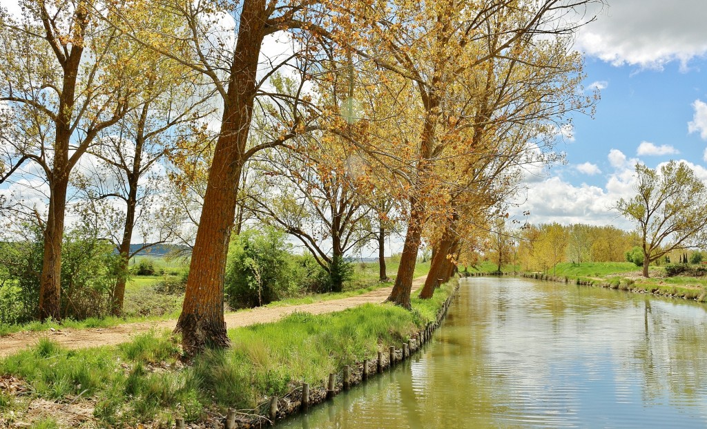 Foto: Canal de Castilla - Medina de Rioseco (Valladolid), España