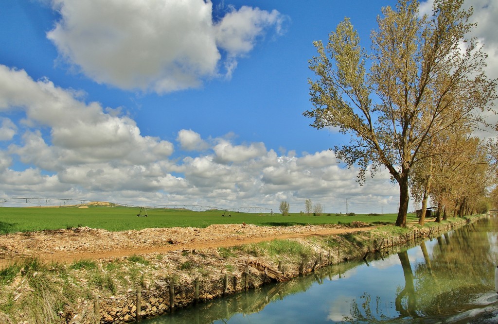 Foto: Canal de Castilla - Medina de Rioseco (Valladolid), España