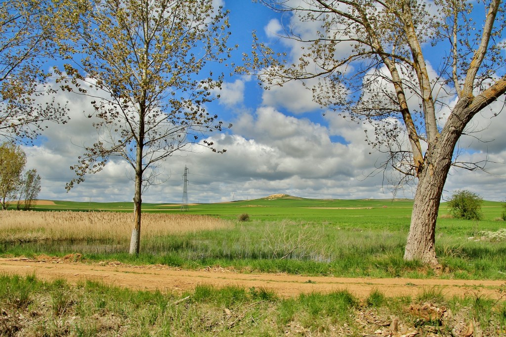 Foto: Canal de Castilla - Medina de Rioseco (Valladolid), España