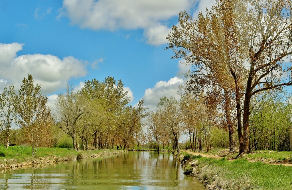 Foto: Canal de Castilla - Medina de Rioseco (Valladolid), España