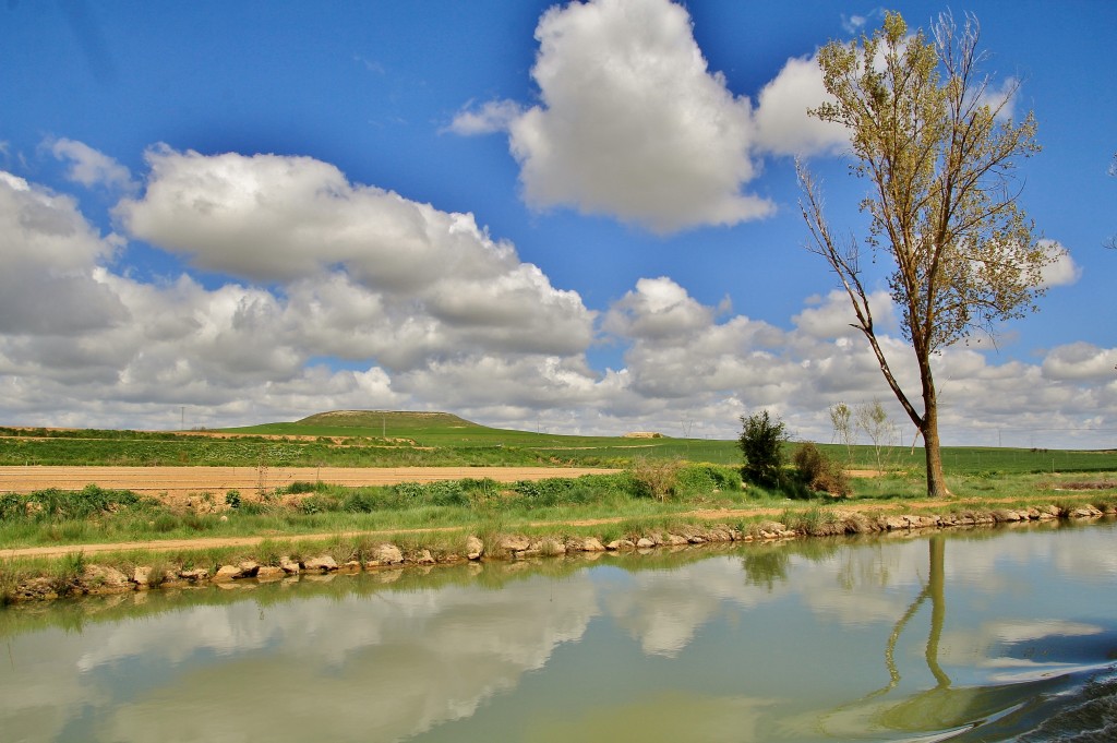 Foto: Canal de Castilla - Medina de Rioseco (Valladolid), España