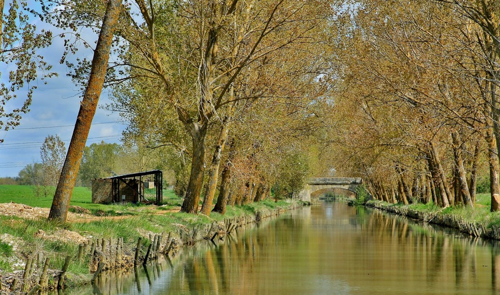 Foto: Canal de Castilla - Medina de Rioseco (Valladolid), España