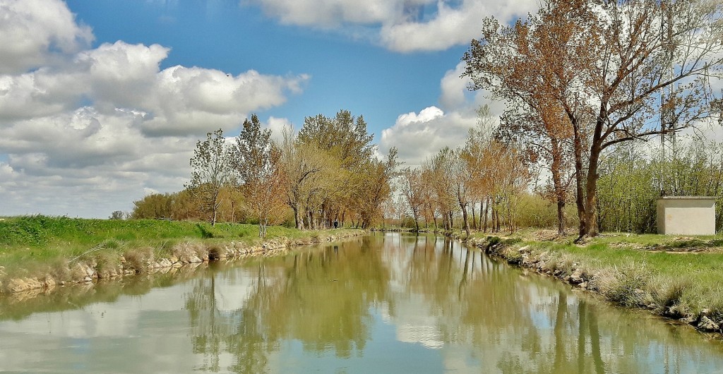 Foto: Canal de Castilla - Medina de Rioseco (Valladolid), España