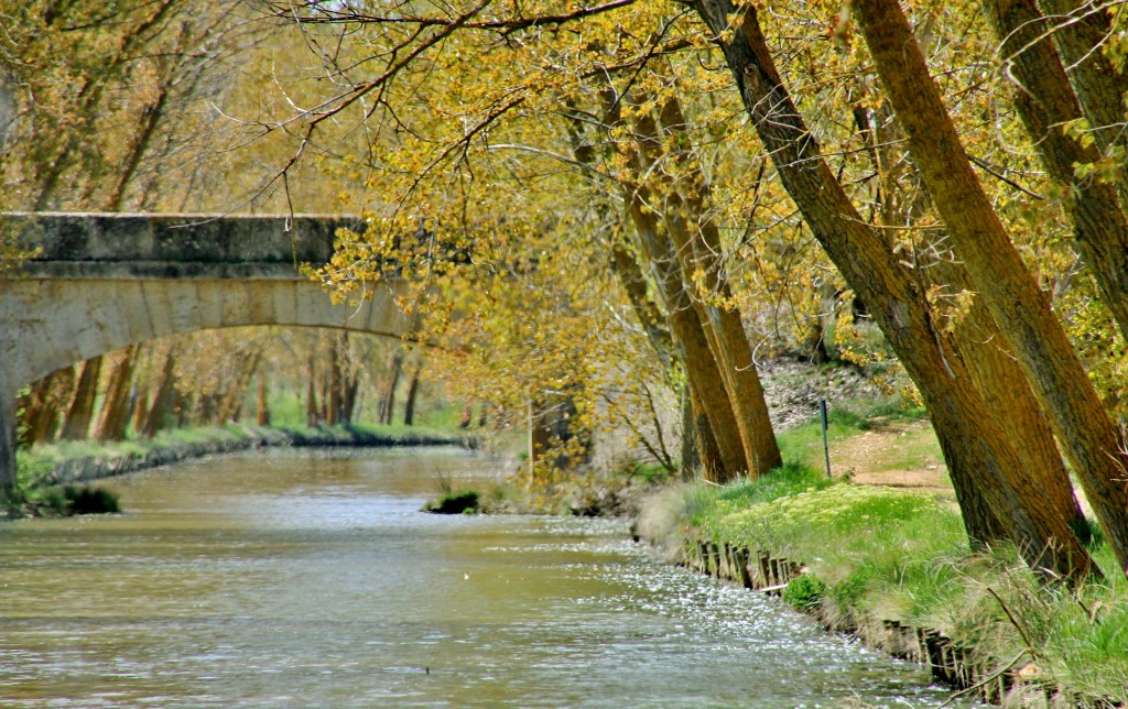 Foto: Canal de Castilla - Medina de Rioseco (Valladolid), España