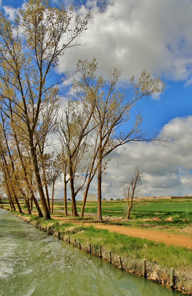 Foto: Canal de Castilla - Medina de Rioseco (Valladolid), España