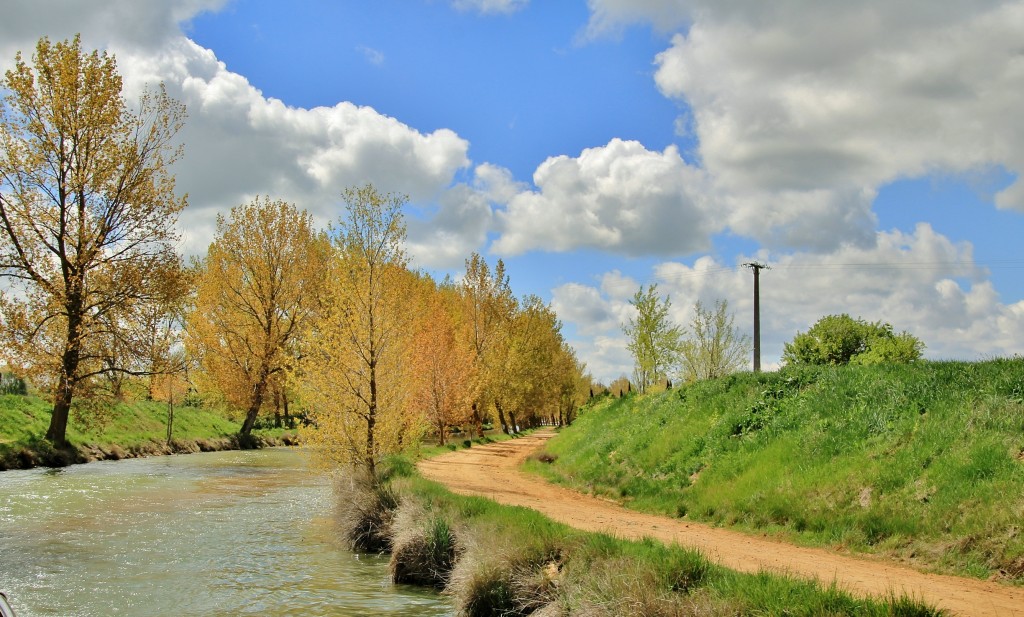 Foto: Canal de Castilla - Medina de Rioseco (Valladolid), España