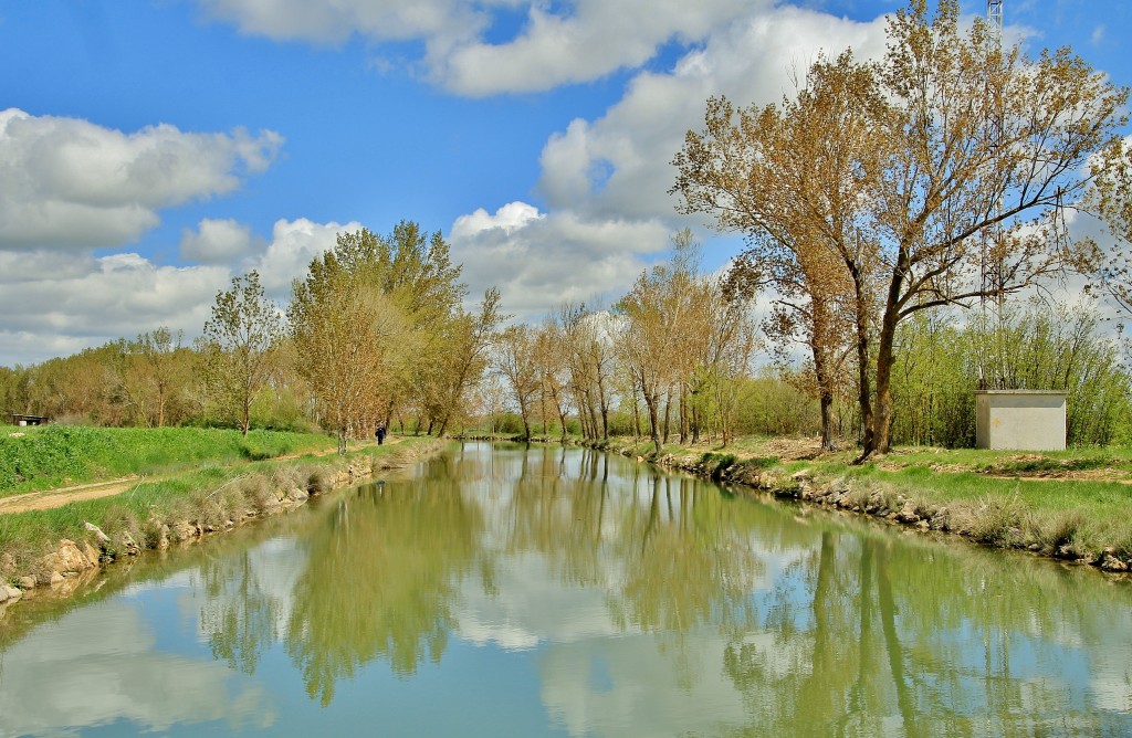 Foto: Canal de Castilla - Medina de Rioseco (Valladolid), España