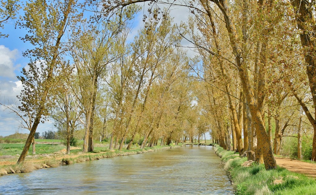 Foto: Canal de Castilla - Medina de Rioseco (Valladolid), España