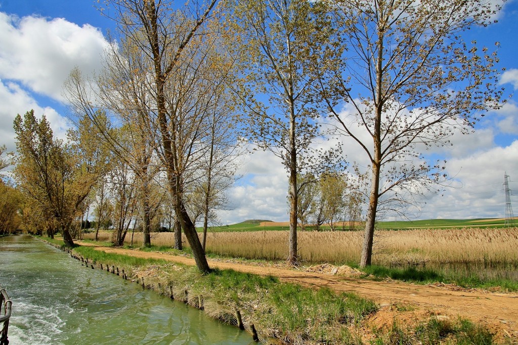 Foto: Canal de Castilla - Medina de Rioseco (Valladolid), España