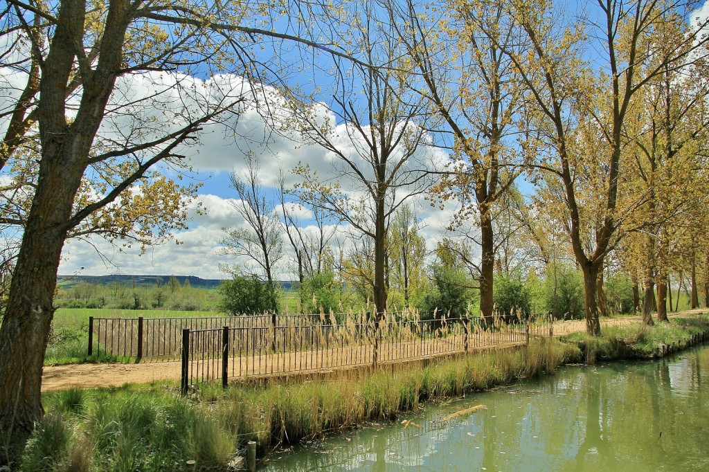 Foto: Canal de Castilla - Medina de Rioseco (Valladolid), España