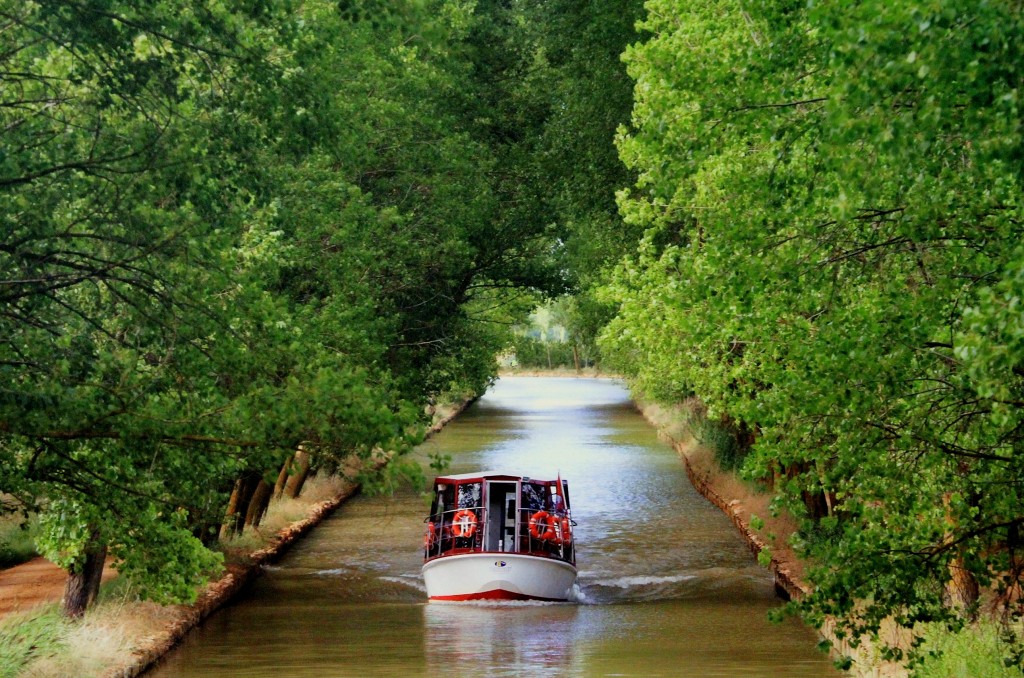 Foto: Canal de Castilla - Medina de Rioseco (Valladolid), España