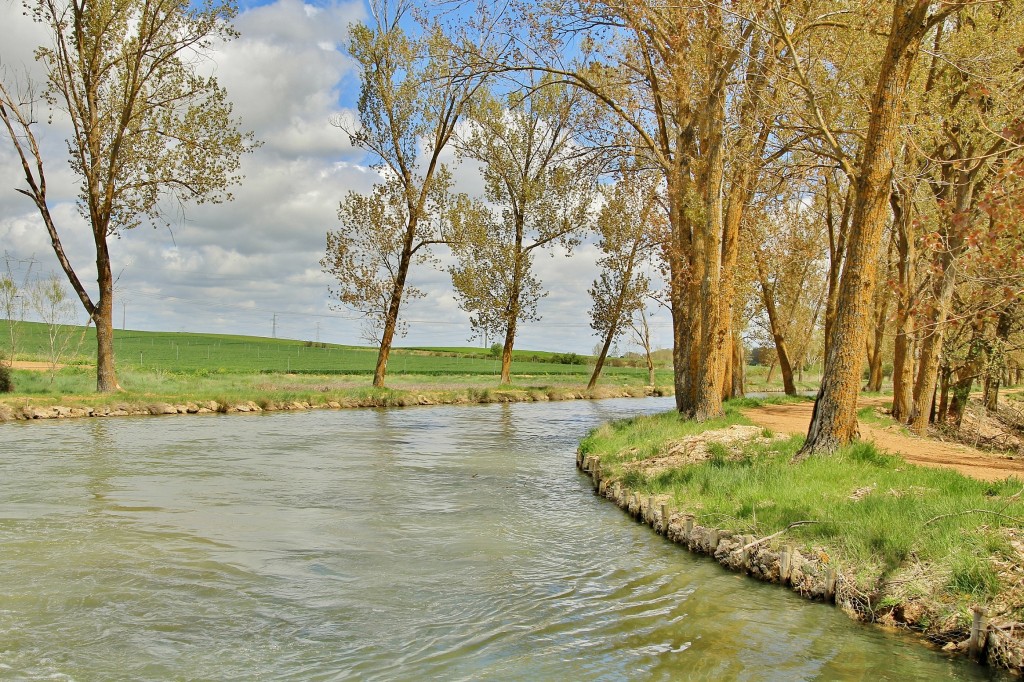 Foto: Canal de Castilla - Medina de Rioseco (Valladolid), España