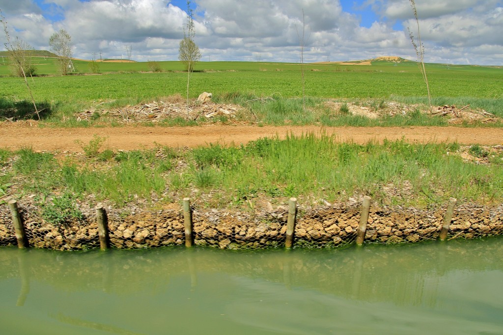 Foto: Canal de Castilla - Medina de Rioseco (Valladolid), España