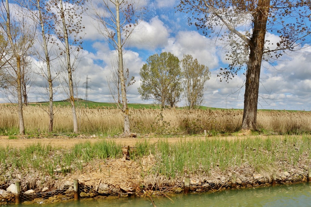 Foto: Canal de Castilla - Medina de Rioseco (Valladolid), España