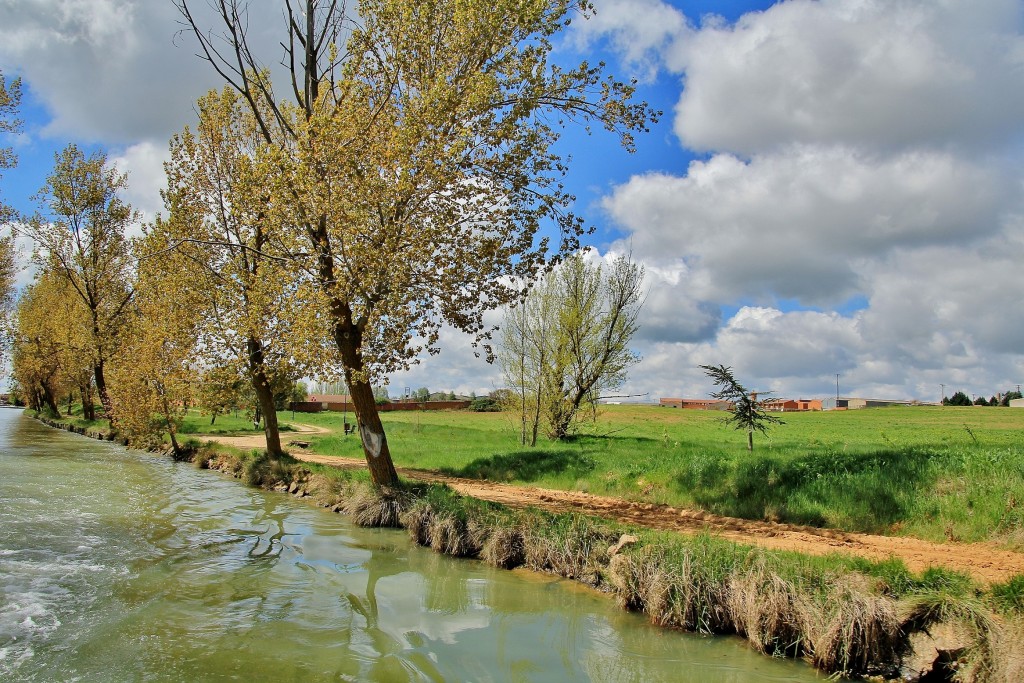 Foto: Canal de Castilla - Medina de Rioseco (Valladolid), España