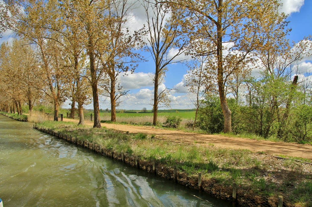 Foto: Canal de Castilla - Medina de Rioseco (Valladolid), España