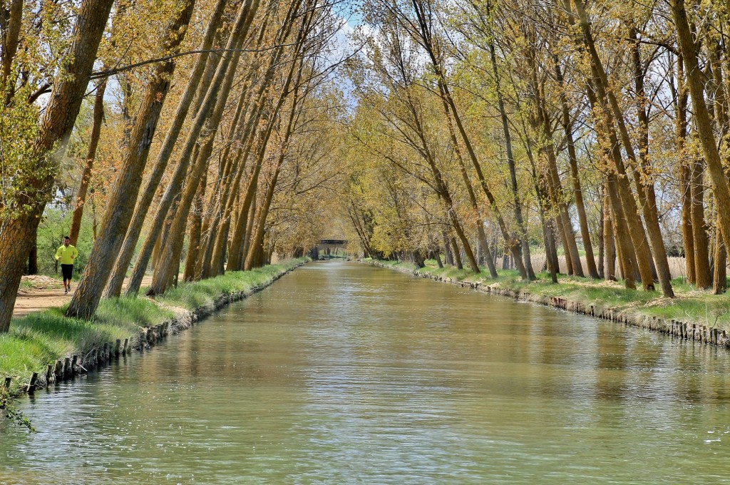 Foto: Canal de Castilla - Medina de Rioseco (Valladolid), España