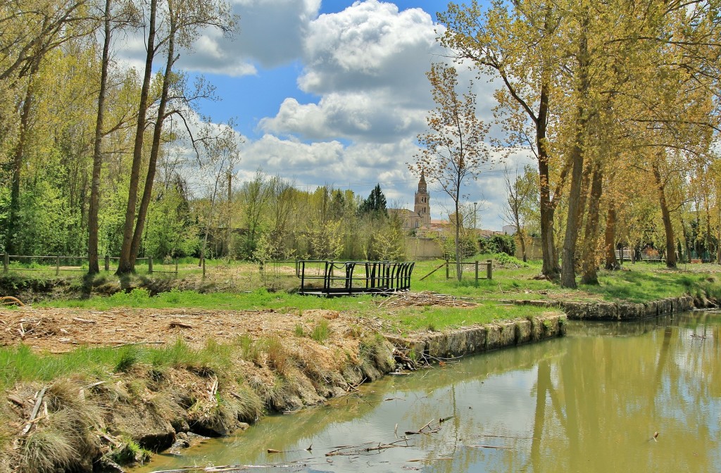 Foto: Canal de Castilla - Medina de Rioseco (Valladolid), España