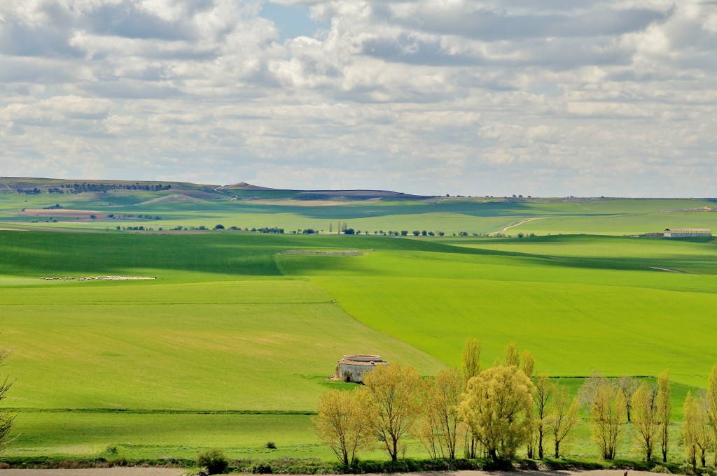 Foto: Vistas - Montealegre de Campos (Valladolid), España