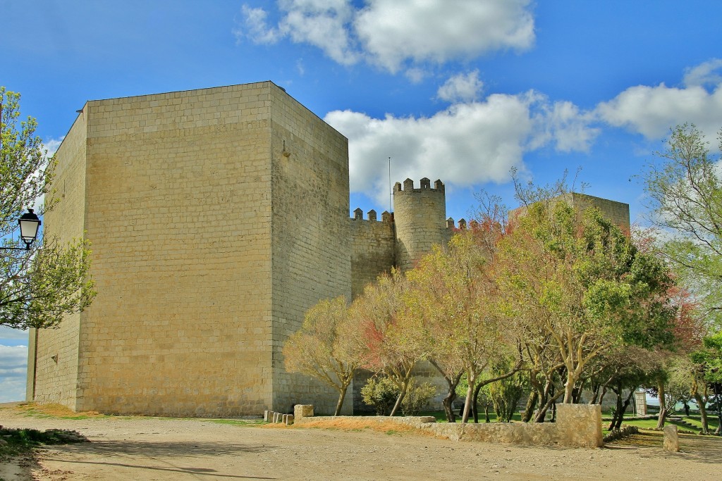 Foto: Castillo - Montealegre de Campos (Valladolid), España