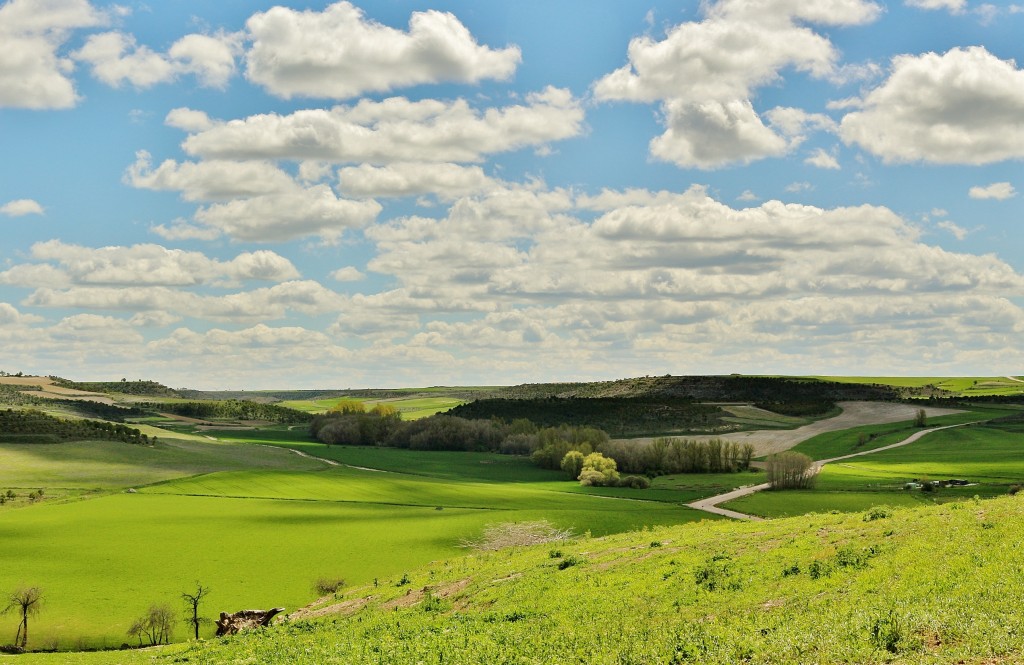 Foto: Vistas - Montealegre de Campos (Valladolid), España