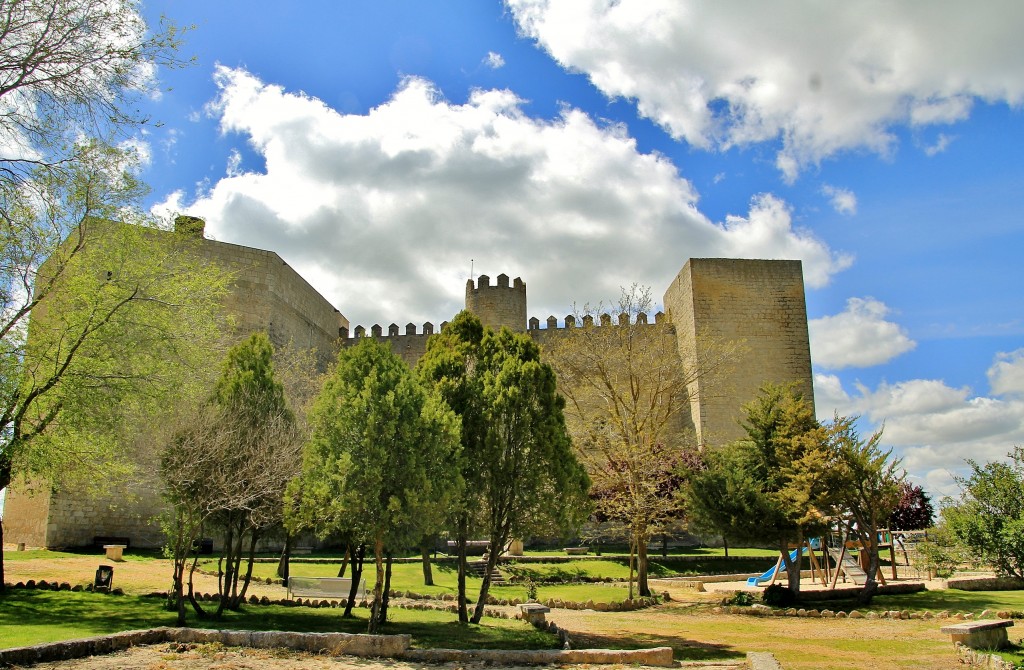 Foto: Castillo - Montealegre de Campos (Valladolid), España