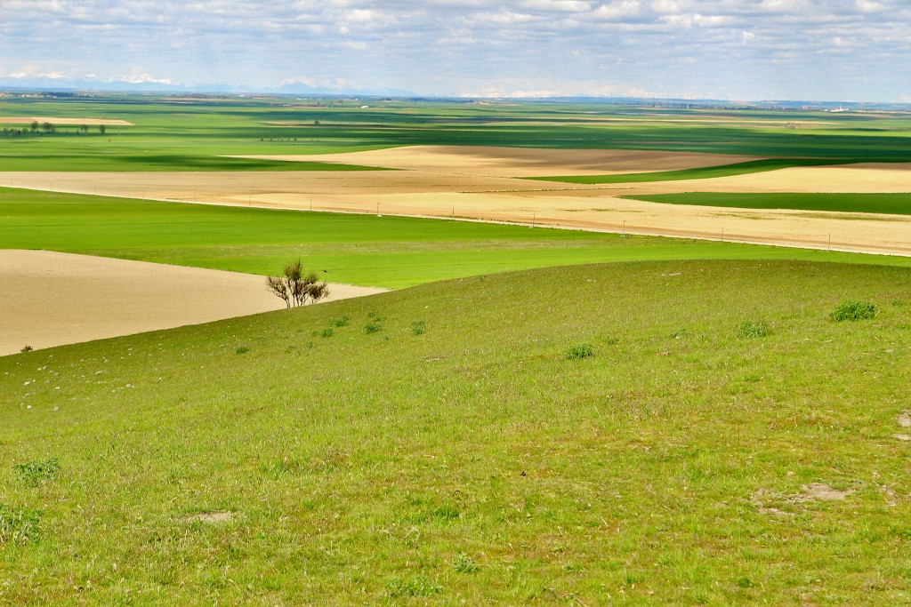 Foto: Vistas - Montealegre de Campos (Valladolid), España