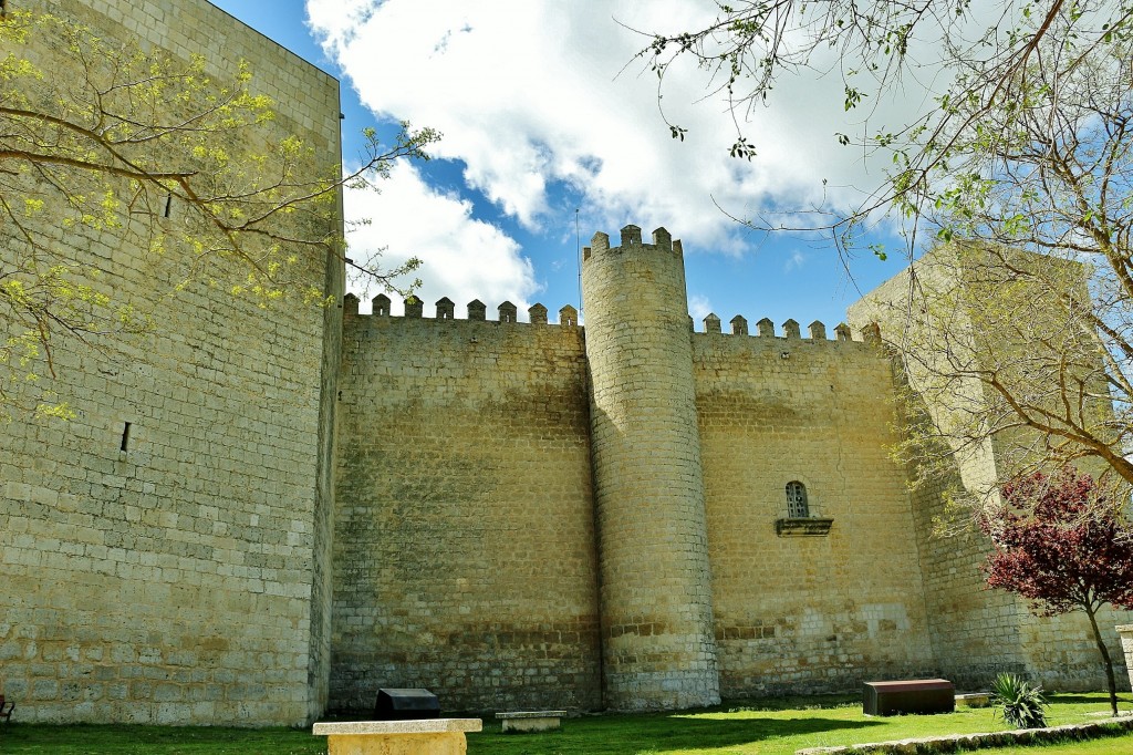 Foto: Castillo - Montealegre de Campos (Valladolid), España