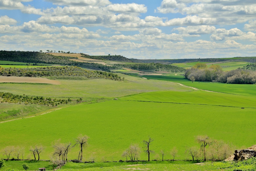 Foto: Vistas - Montealegre de Campos (Valladolid), España