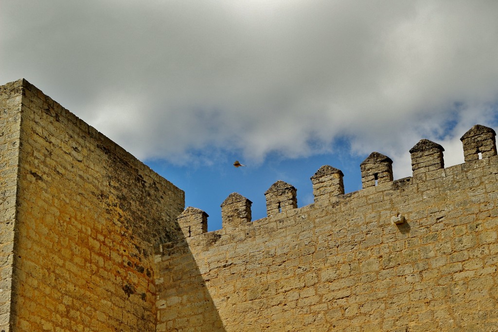 Foto: Castillo - Montealegre de Campos (Valladolid), España