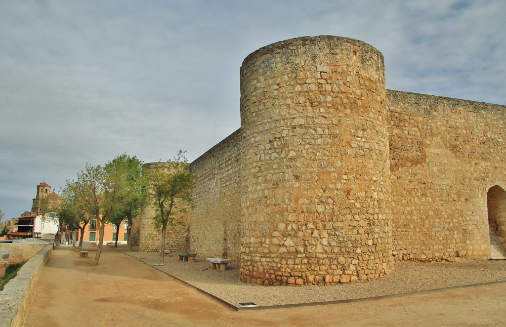 Foto: Alcázar - Toro (Zamora), España