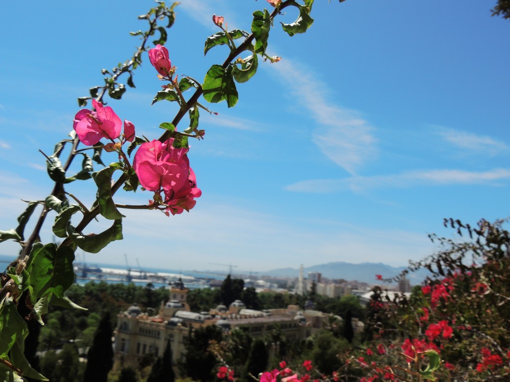 Foto de Málaga (Andalucía), España