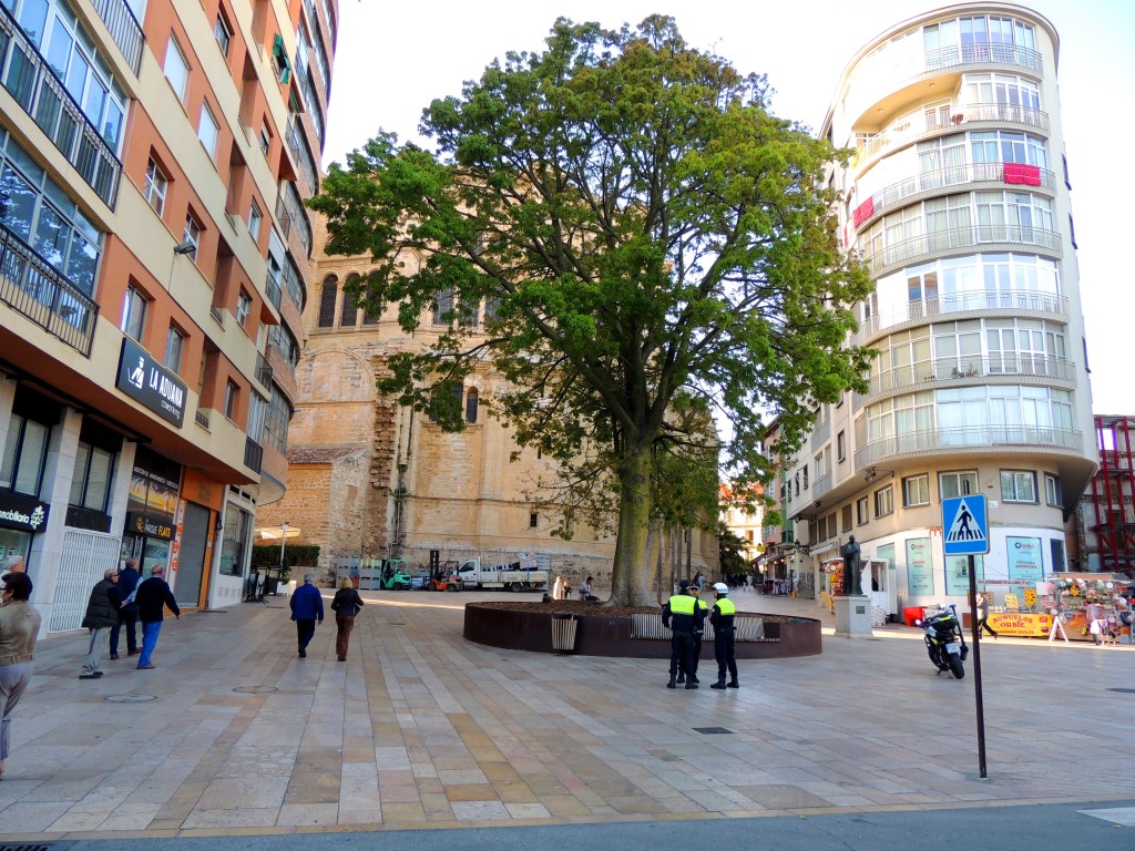 Foto de Málaga (Andalucía), España