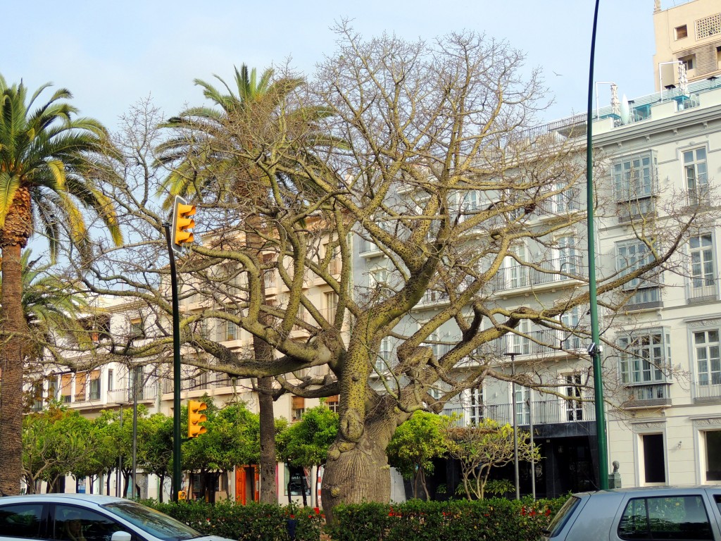 Foto de Málaga (Andalucía), España