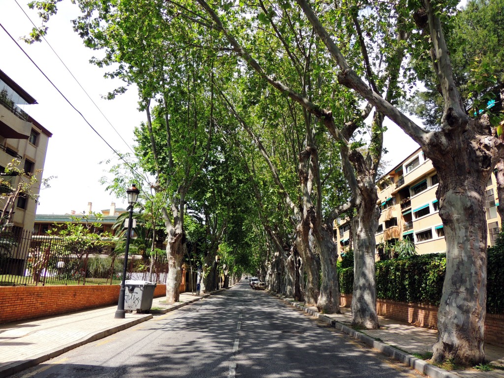 Foto de Málaga (Andalucía), España