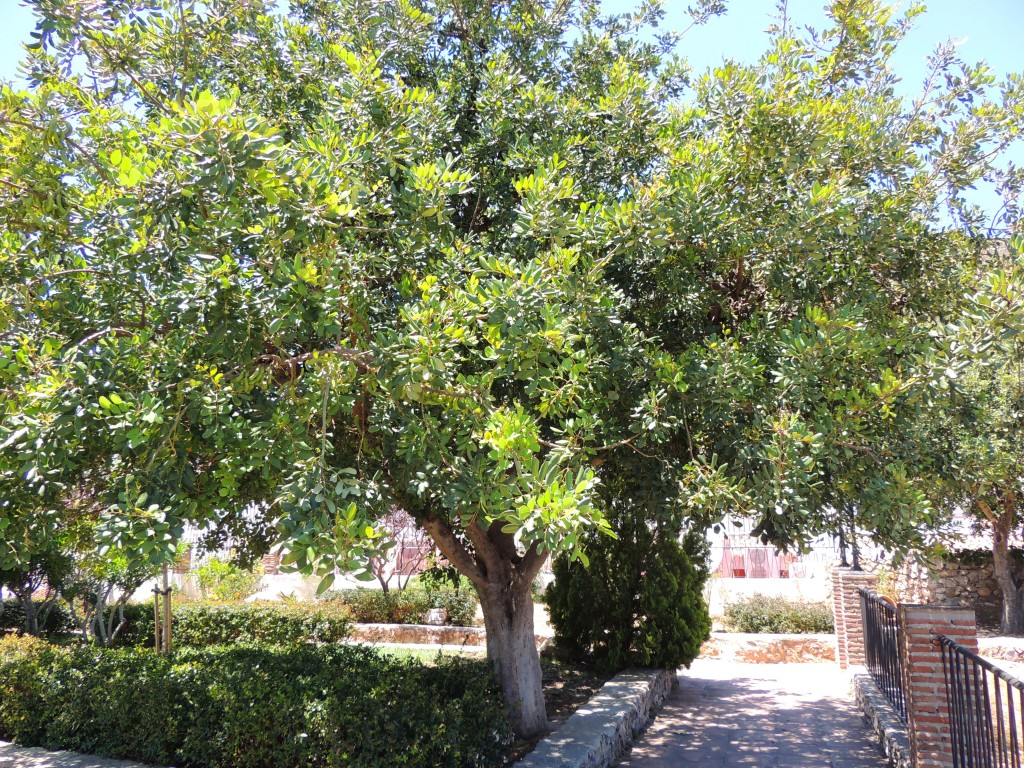 Foto de Mijas (Málaga), España