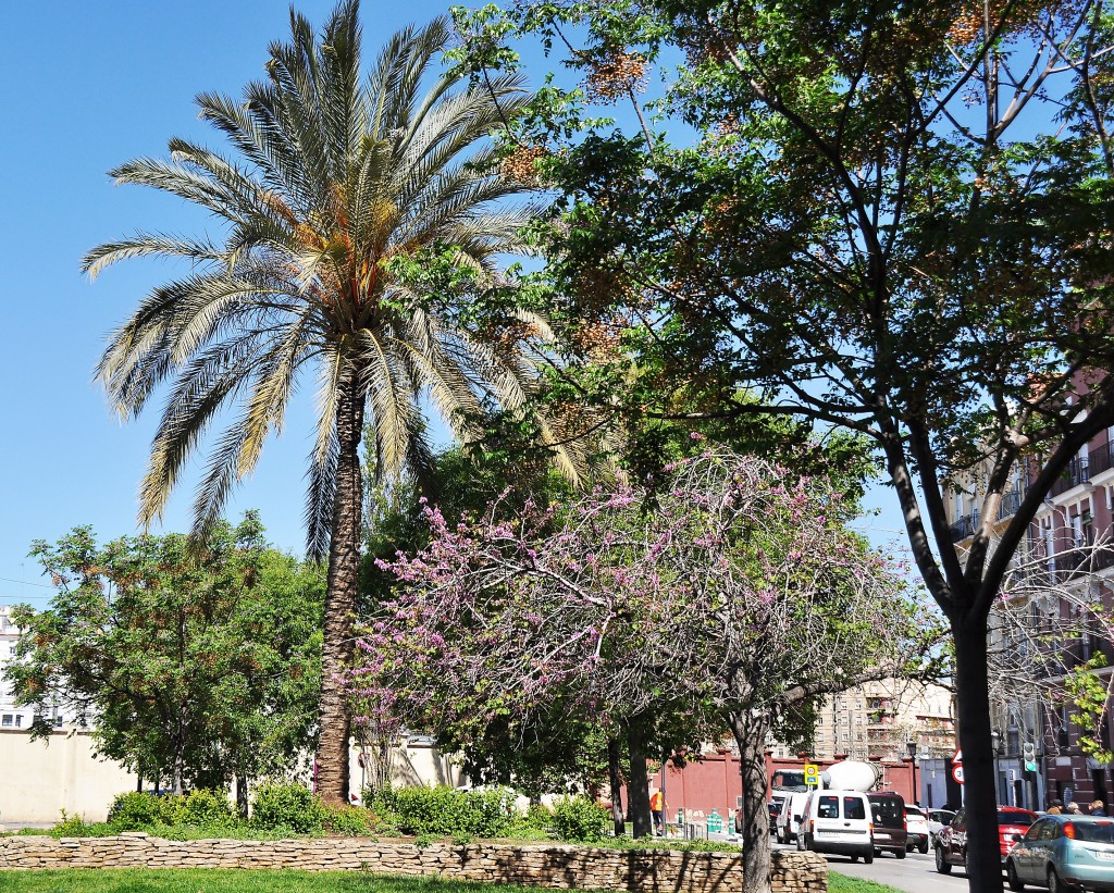 Foto: Vista `parcial Parque Central - Valencia (València), España