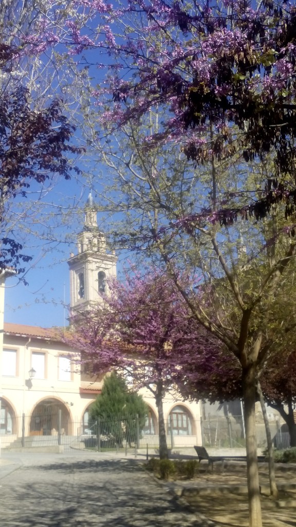 Foto de Calatayud (Zaragoza), España