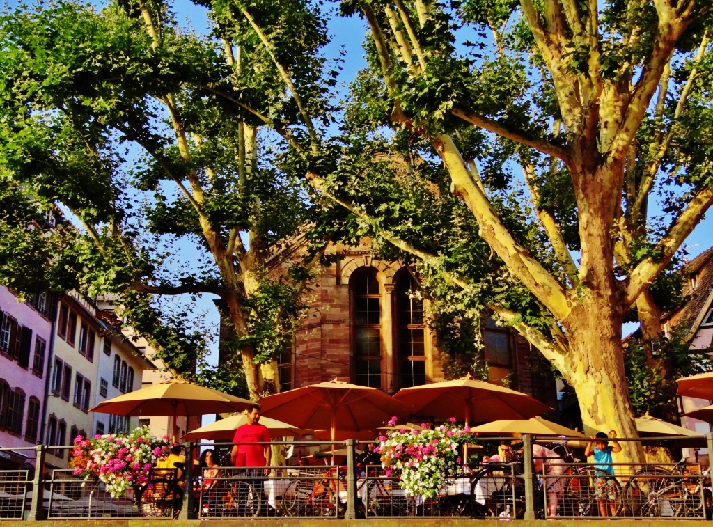 Foto: La Petite-France - Strasbourg (Alsace), Francia