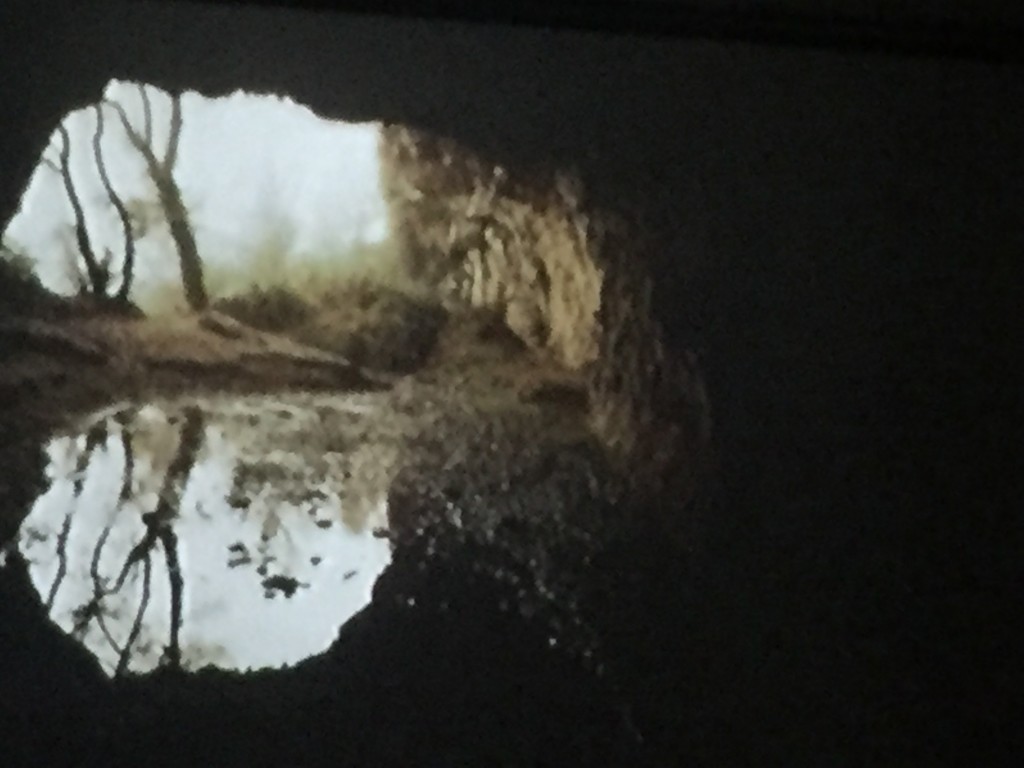 Foto de La Selva Del Campo (Tarragona), España