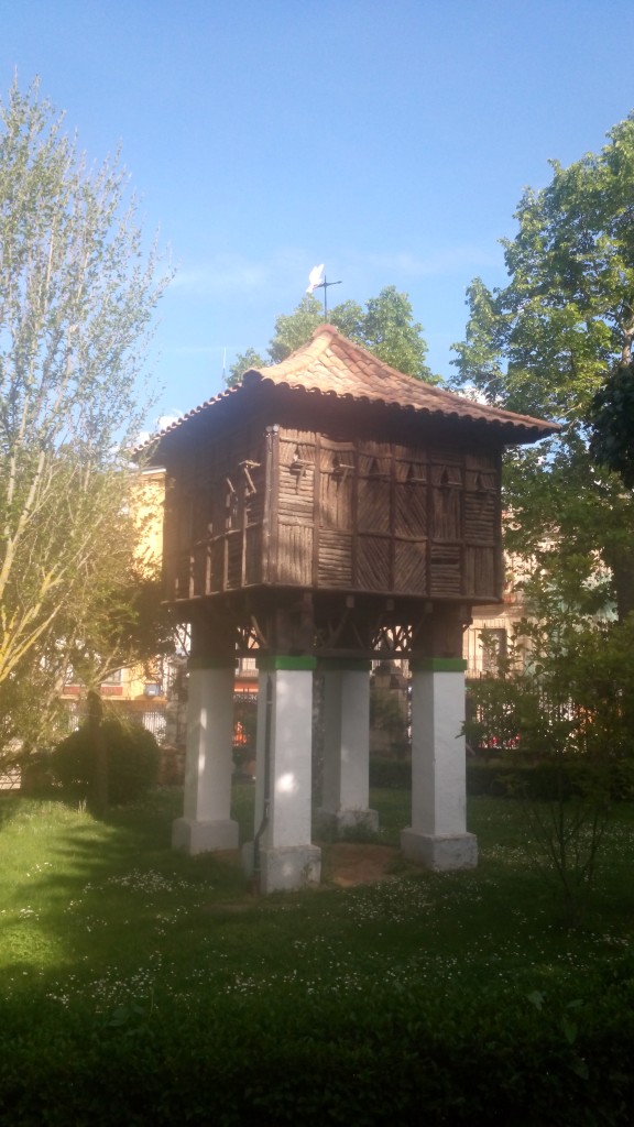 Foto: La Dehesa - Soria (Castilla y León), España