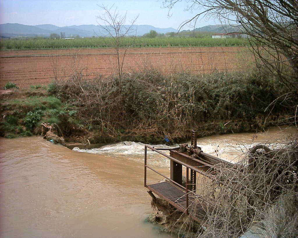 Foto: Río Jiloca - Calatayud (Zaragoza), España