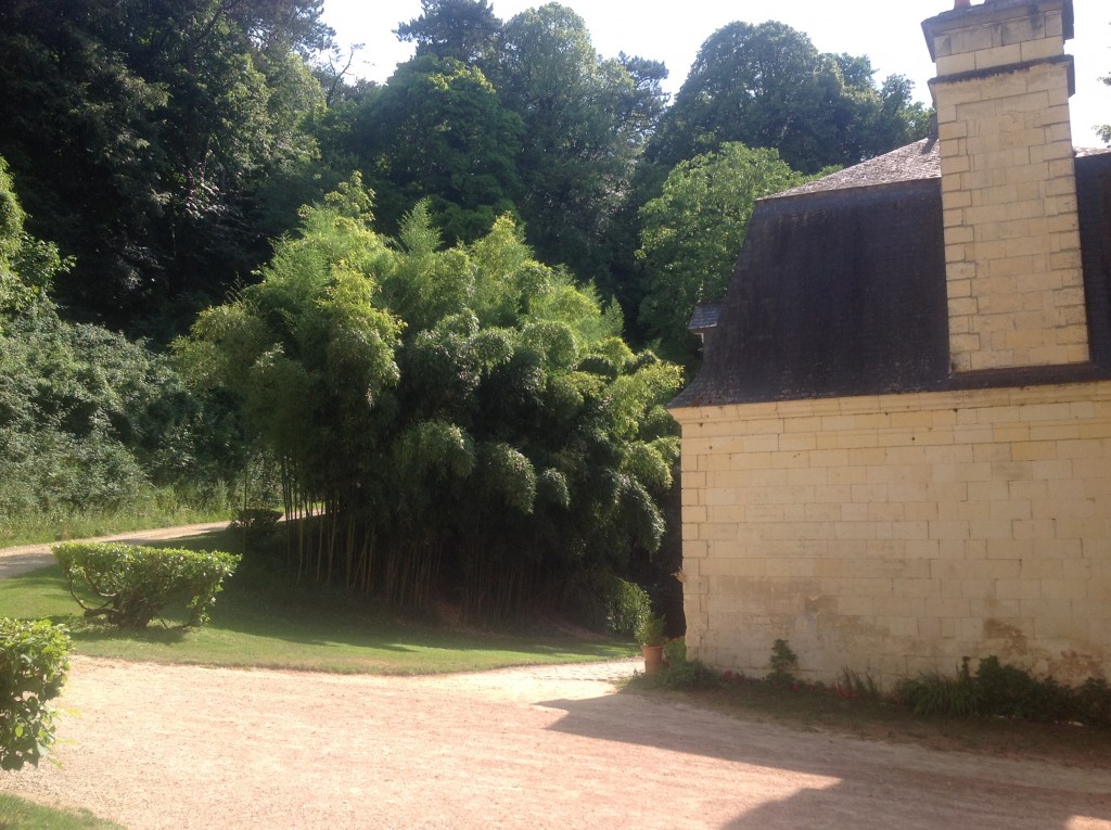 Foto de Loire, Francia