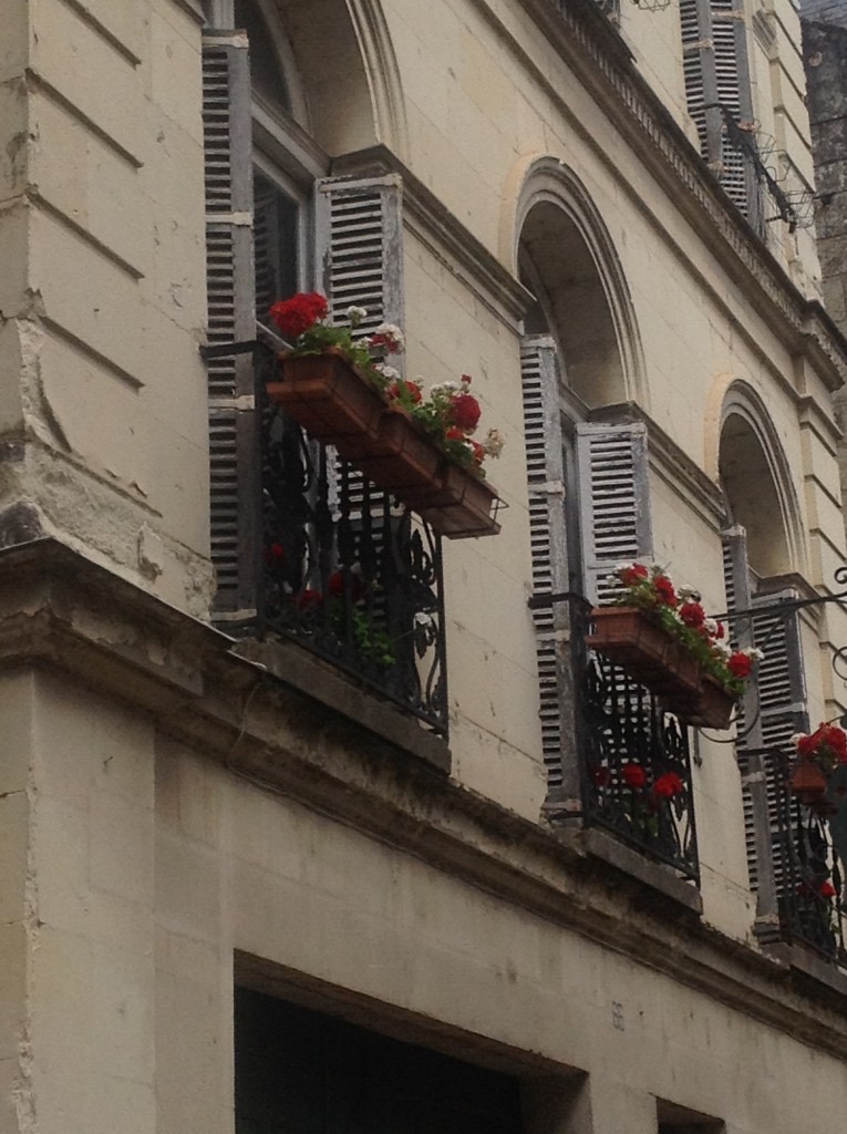 Foto de Loire, Francia