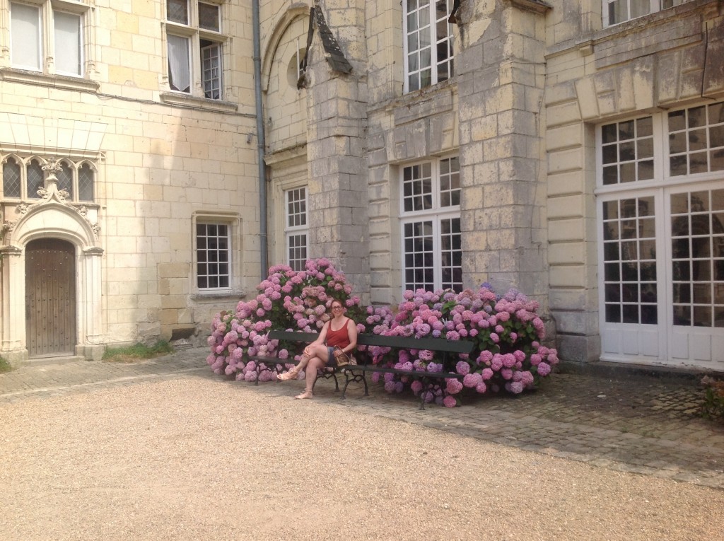 Foto de Loire, Francia