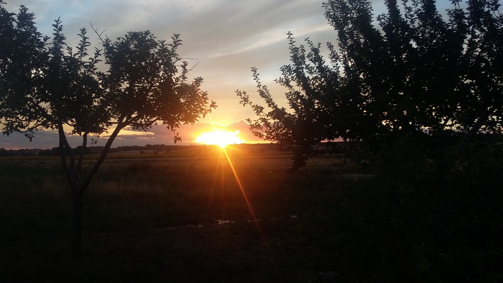 Foto de La Vid (Burgos), España