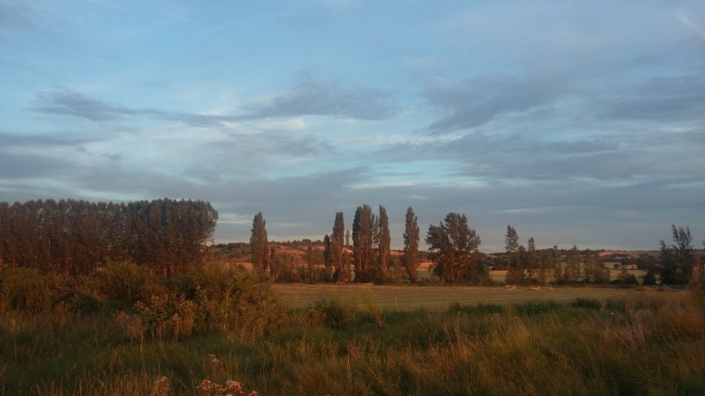 Foto de La Vid (Burgos), España