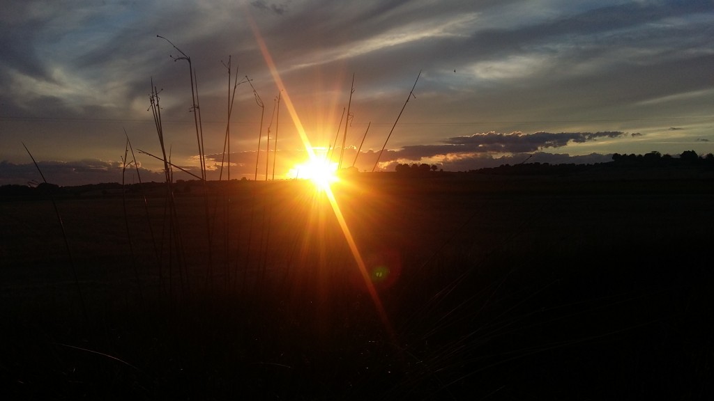 Foto de La Vid (Burgos), España