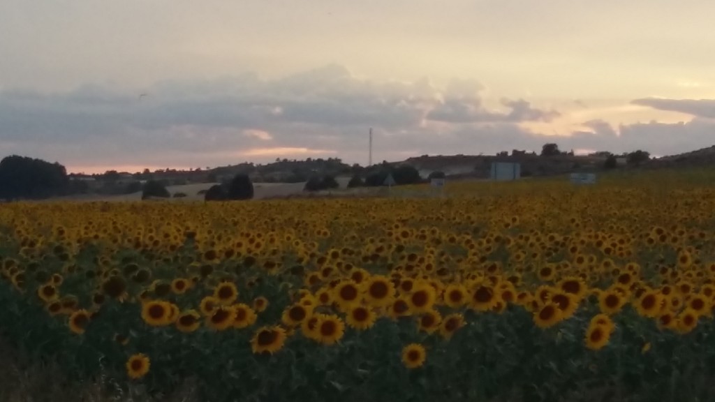 Foto de La Vid (Burgos), España