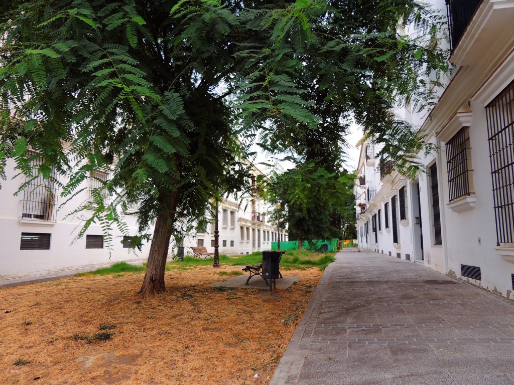 Foto de Arcos de la Frontera (Cádiz), España